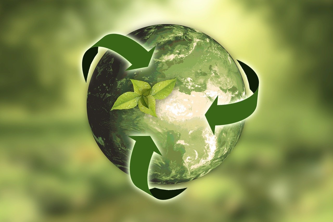 Междисциплинарная научно-образовательная школа Московского университета «Будущее планеты и глобальные изменения окружающей среды»
